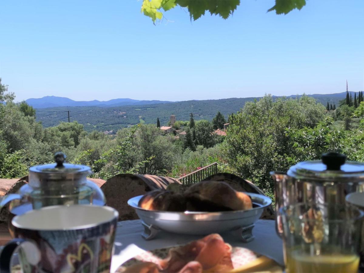 Le Nid Des Arts Bed & Breakfast Tourrettes Eksteriør bilde