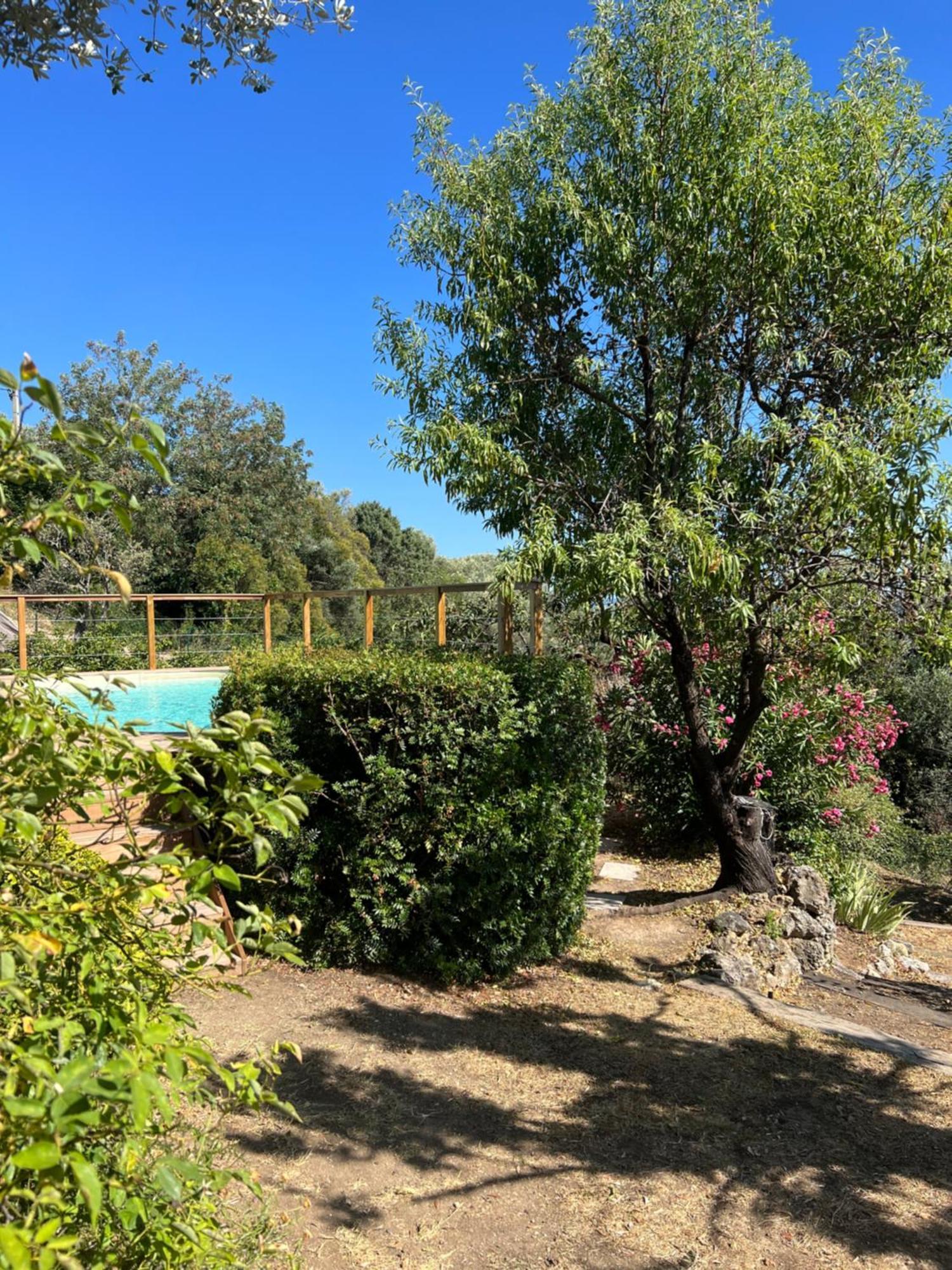 Le Nid Des Arts Bed & Breakfast Tourrettes Eksteriør bilde